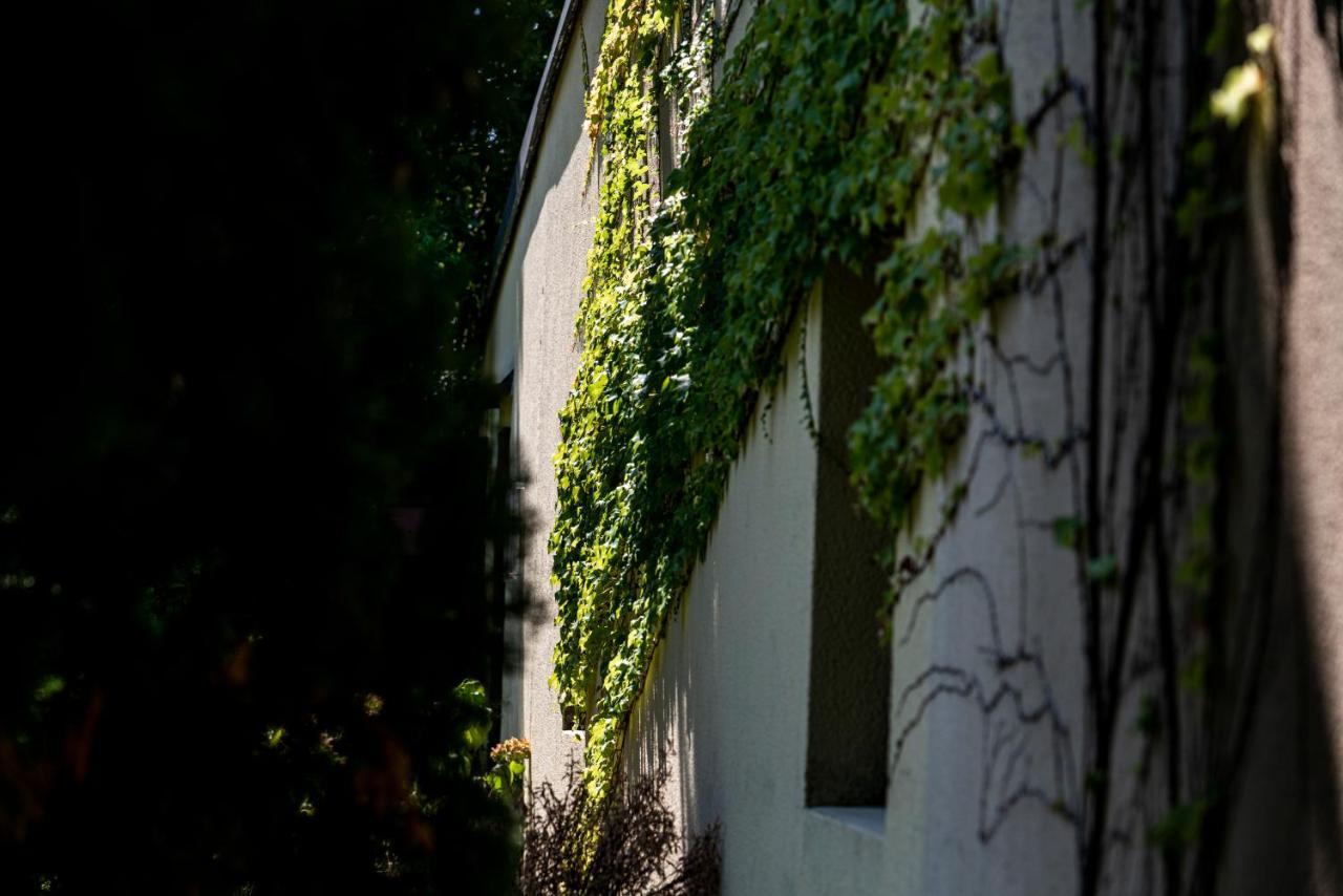 Agriturismo Le Chiusure San Felice del Benaco Buitenkant foto