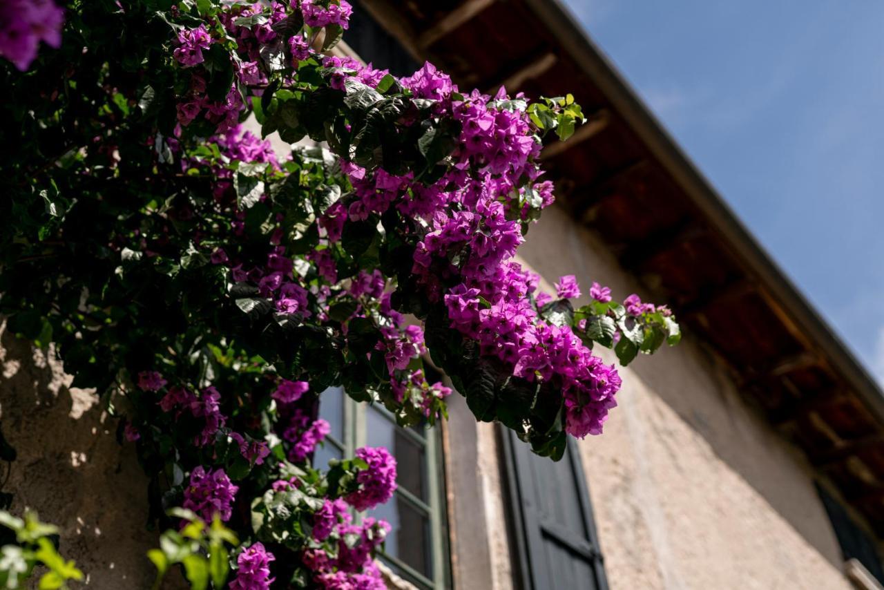 Agriturismo Le Chiusure San Felice del Benaco Buitenkant foto