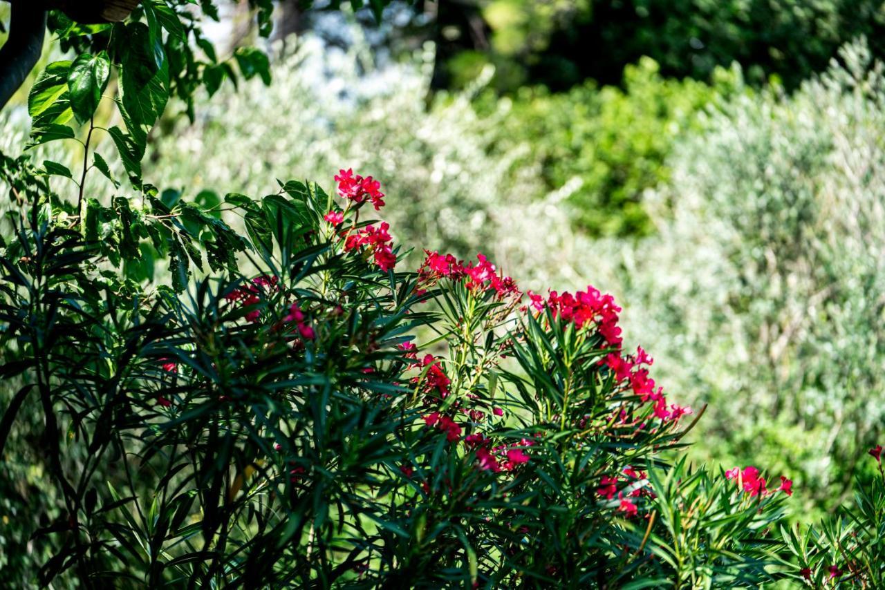 Agriturismo Le Chiusure San Felice del Benaco Buitenkant foto