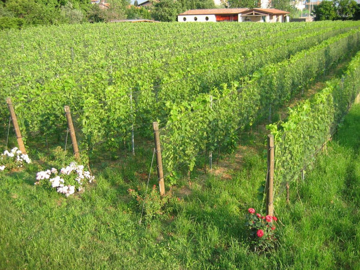 Agriturismo Le Chiusure San Felice del Benaco Buitenkant foto